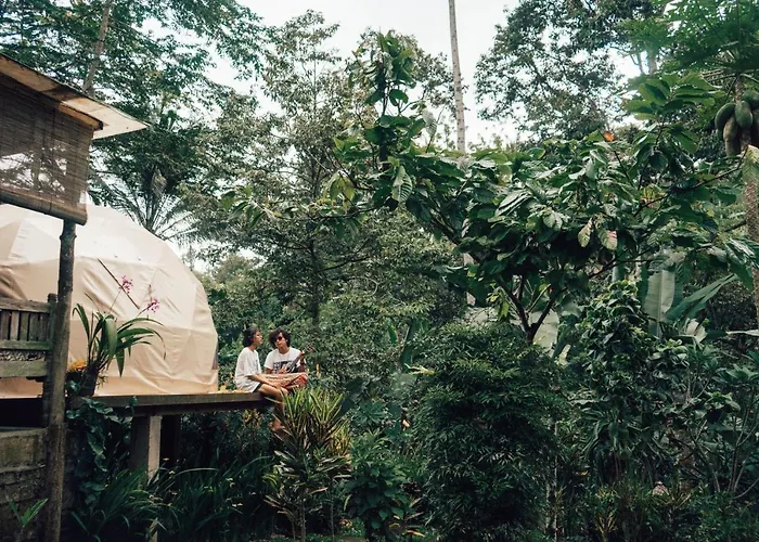 Bali Jungle By Amerta Experience