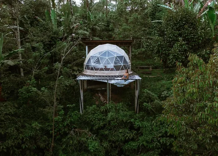 Bali Jungle By Amerta Experience *