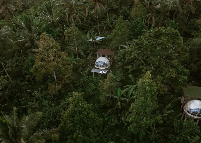 Bali Jungle By Amerta Experience Selemadeg