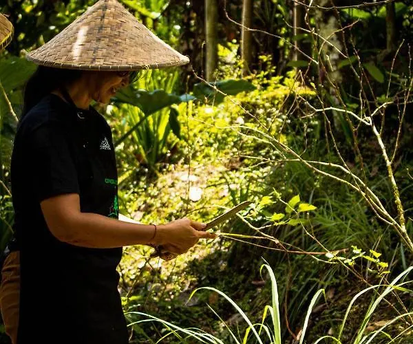ホリデーパーク Bali Jungle By Amerta Experience Selemadeg