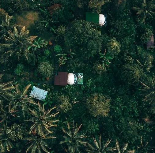 Bali Jungle By Amerta Experience