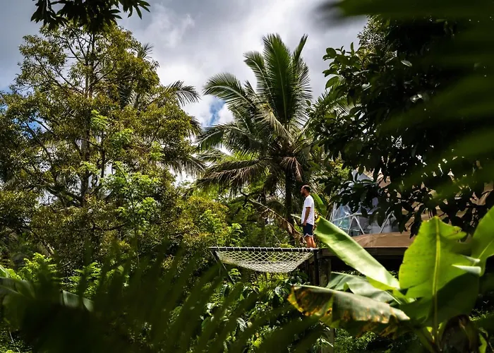 Bali Jungle By Amerta Experience ホリデーパーク Selemadeg