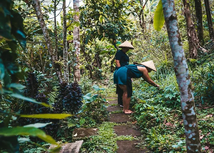 ホリデーパーク Bali Jungle By Amerta Experience Selemadeg