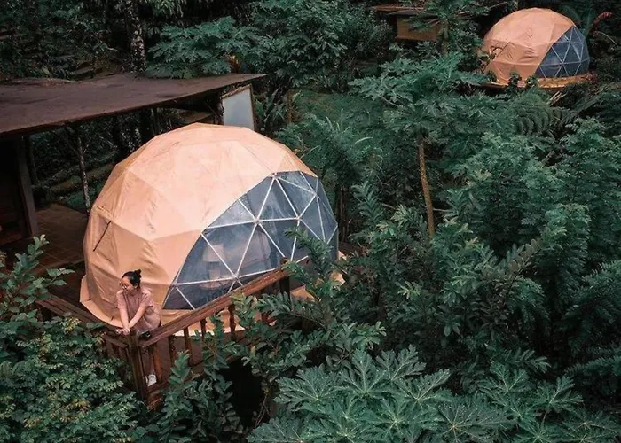 Bali Jungle By Amerta Experience ホリデーパーク Selemadeg