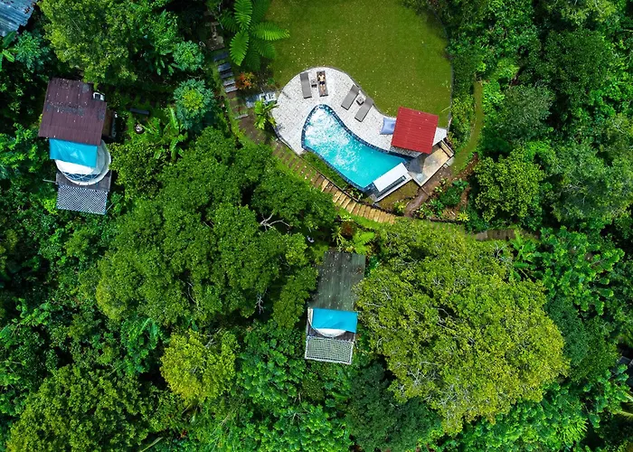 Bali Jungle By Amerta Experience * Selemadeg